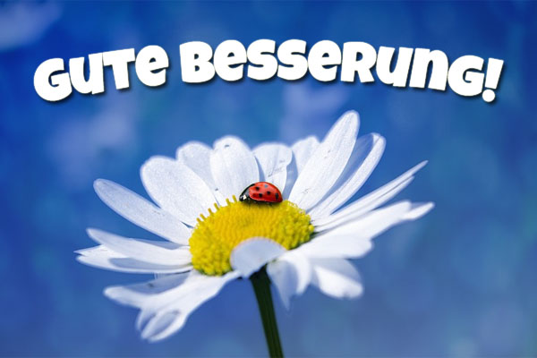 Kostenlos gute besserung sprüche für freunde ᐅ Gute